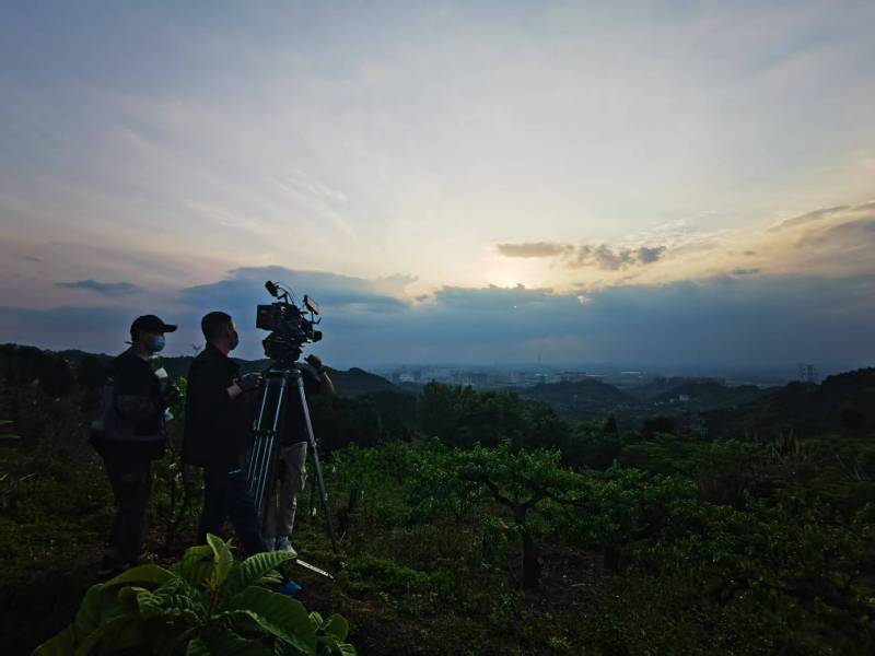 聚焦舒城县产品宣传视频拍摄公司，用专业实力铸就品牌传播传奇