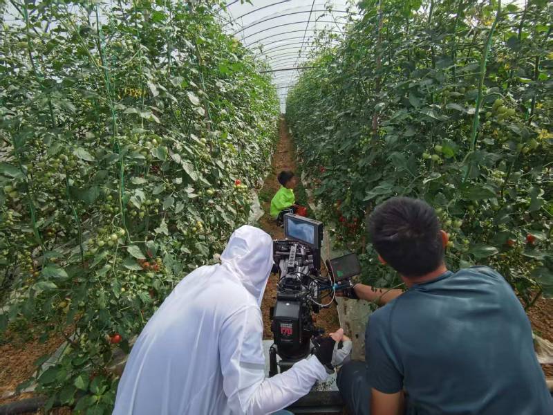 舒城县产品宣传视频拍摄公司进阶指南，助力品牌抢占传播高地